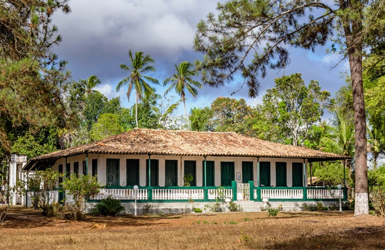 Contexto De Sonhar Com Chácara