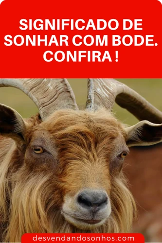 Desvendando O Significado De Sonhar Com Veados