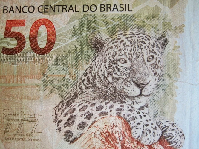 Interpretação Específica De Sonhar Com Notas De R$ 50