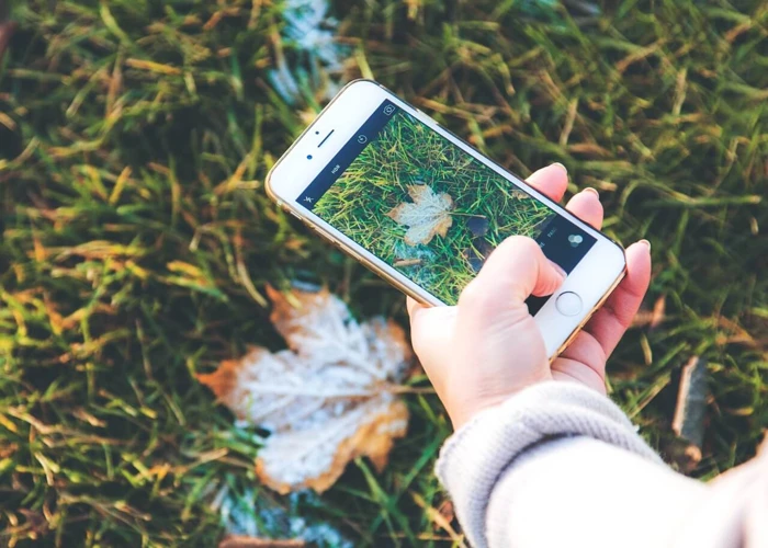 Interpretações De Sonhar Com Celular Sendo Roubado