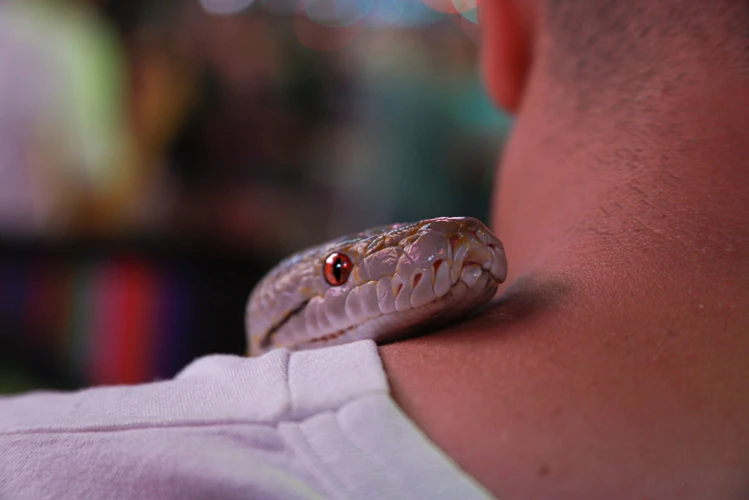 O Que A Cor Da Cobra Pode Significar