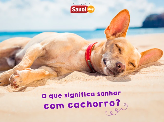 O Que Pode Significar Sonhar Com O Seu Cachorro Morrendo