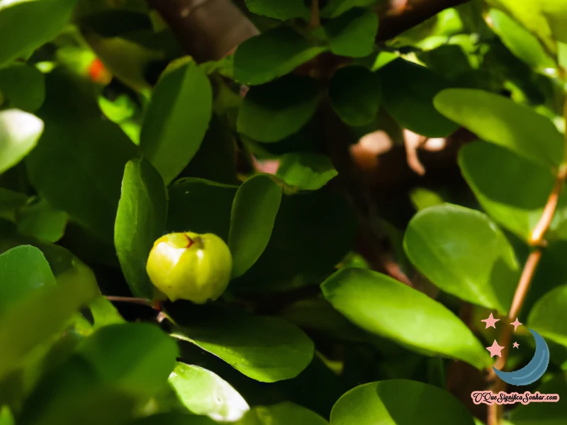 O Que Significa Sonhar Com Acerola Verde?