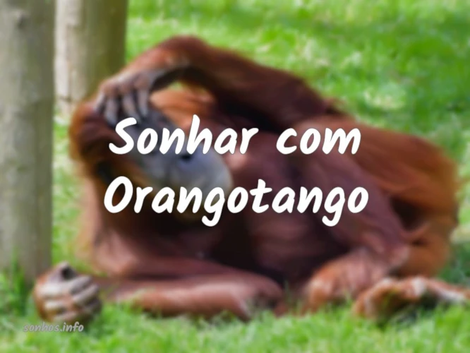 Orangotango: Quem São Esses Animais?