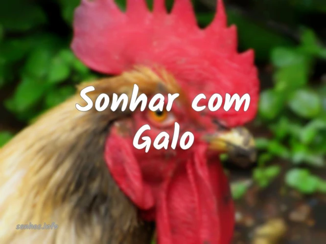 Outros Elementos Do Sonho Com Galo Cantando