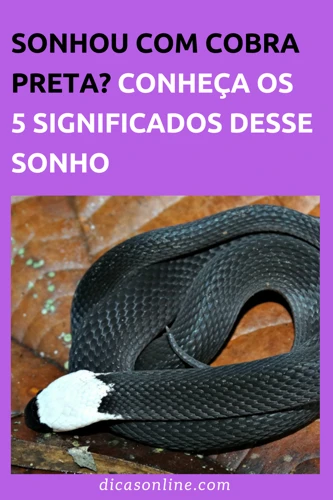 Outros Significados De Sonhar Com Cobra