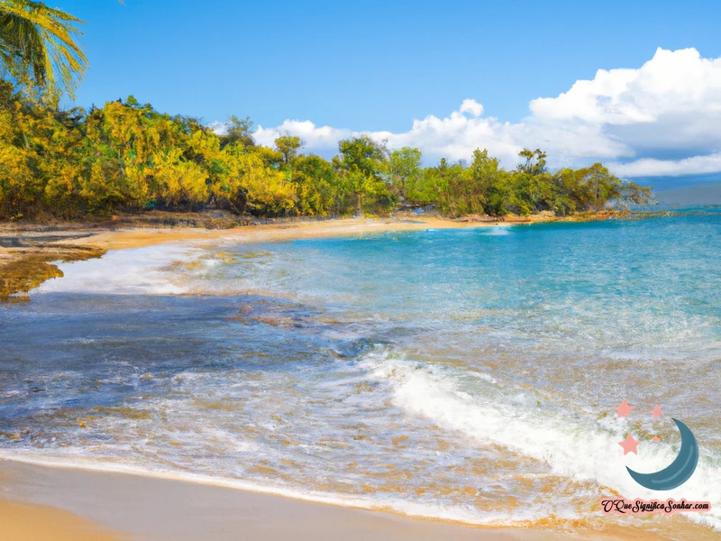 Significado De Sonhar Com Água De Praia Limpa