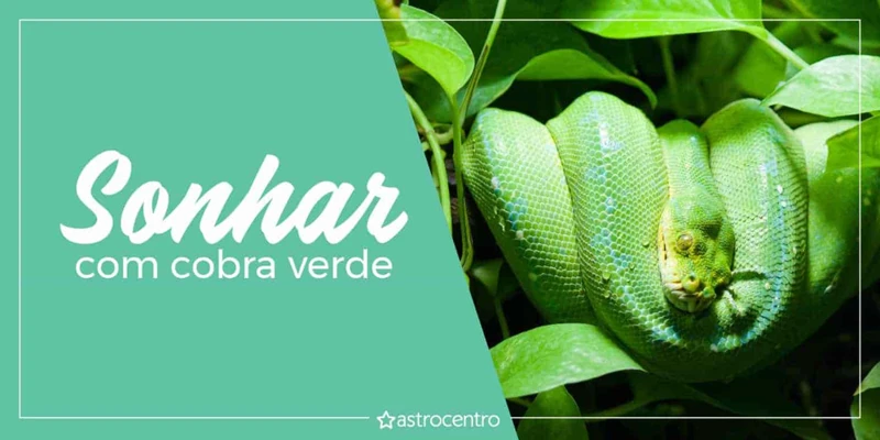 Significado De Sonhar Com Picada De Cobra Verde