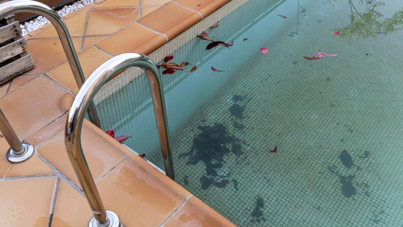 Sonhar Com Água Verde Na Piscina Suja