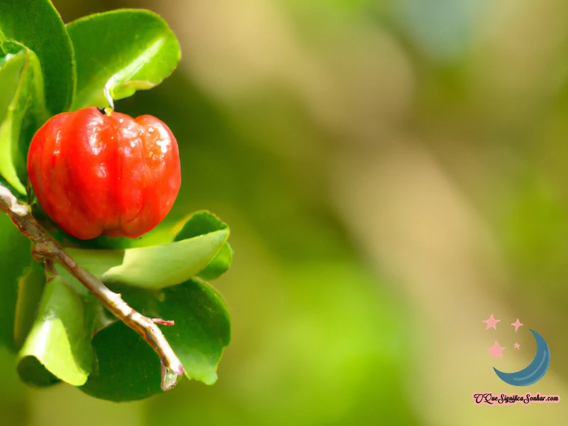 Sonhar Com Planta De Acerola