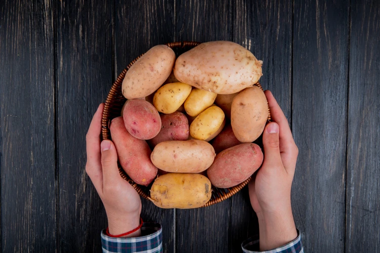  Sonhar Plantando Batata Doce Branca 