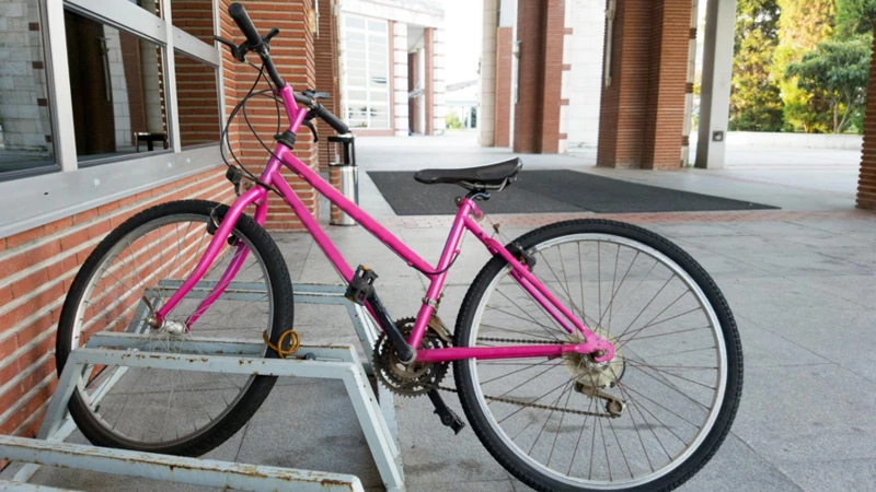 Visão Geral: Significado De Sonhar Com Bicicleta Rosa