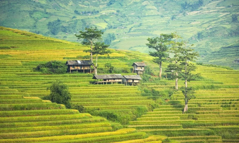 Interpretações Do Sonho Com Terrenos