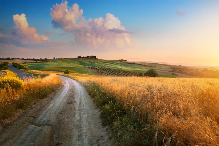 Interpretações Específicas De Sonhar Com Estrada De Terra Vermelha