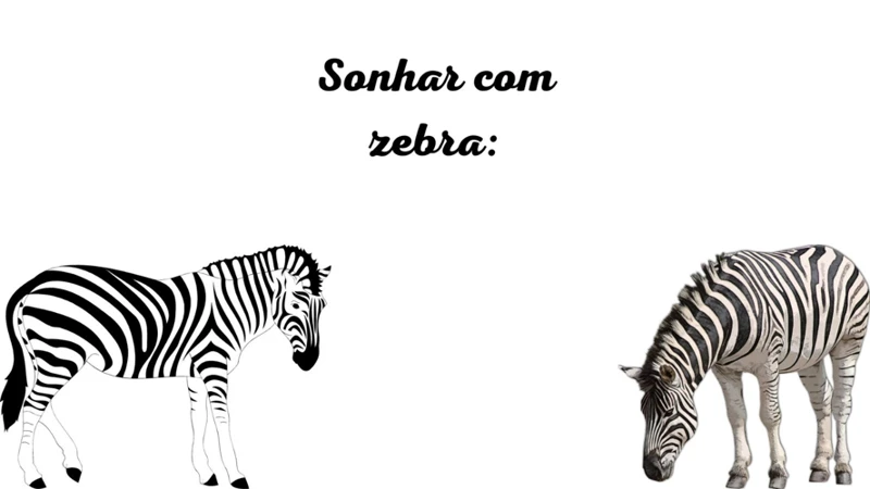 Outros Simbolismos Das Zebras