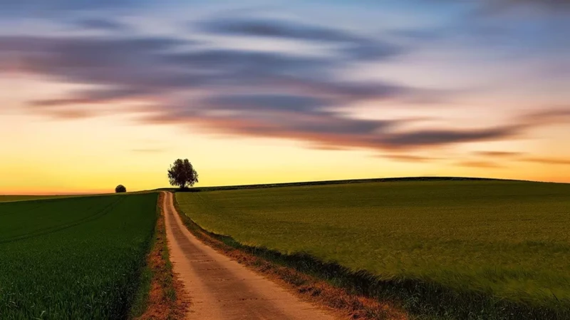 Significado Geral De Sonhar Com Estrada De Terra Vermelha