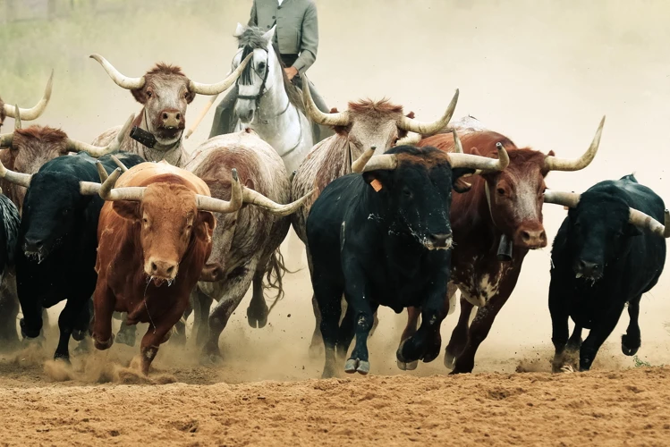 Sonhos Com Bois E Cavalos: O Que Eles Representam