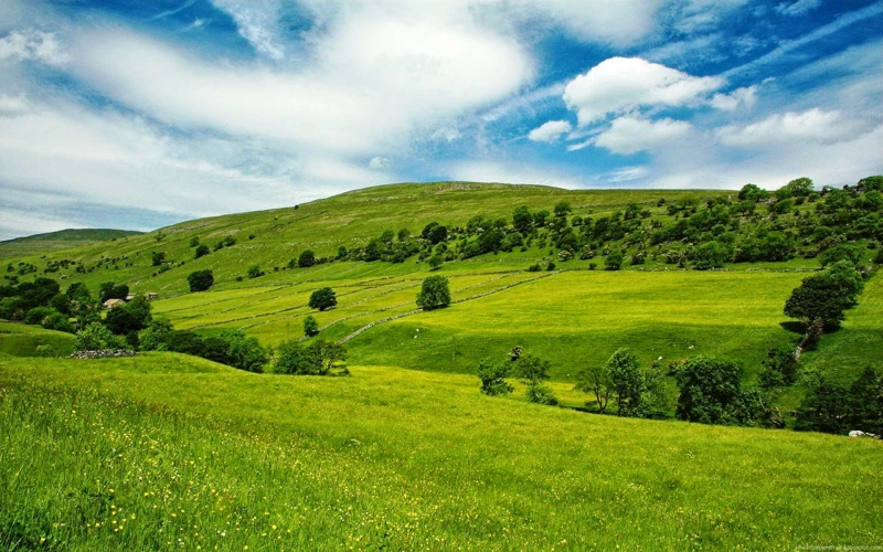 Tipos De Sonhos Com Paisagem Verde